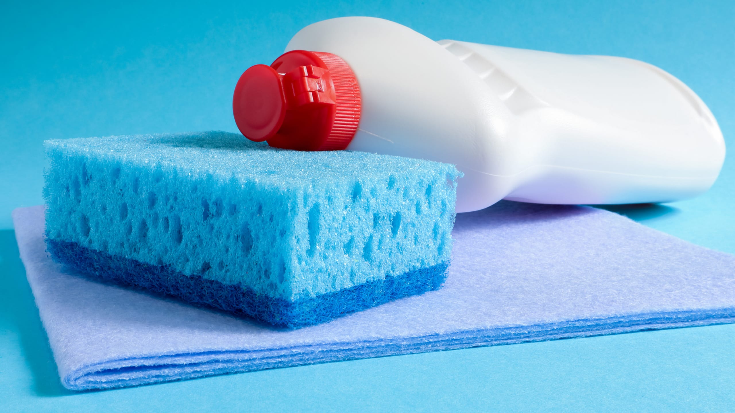 What is the Most Efficient Method of Carpet and Upholstery Cleaning in Sydney